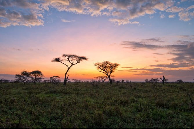 Durban: Big 5 Luxury Safari at an Award Winning Game Reserve — Zeiss Binoculars - Who Will Enjoy This Safari?