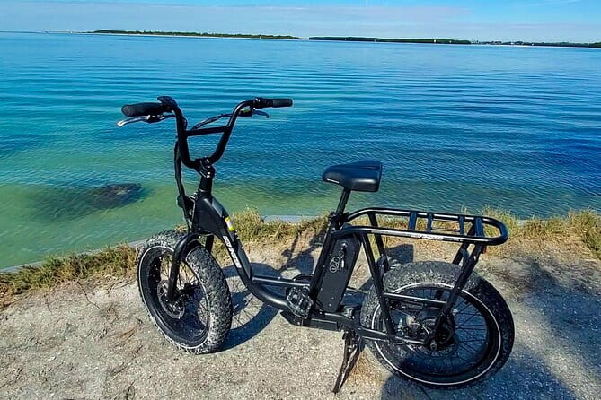 Electric Bike Wildlife & History Tour along Fort De Soto's Beaches - The Sum Up