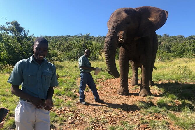 Elephant & Monkey Sanctuary Tour from Johannesburg - Final Thoughts