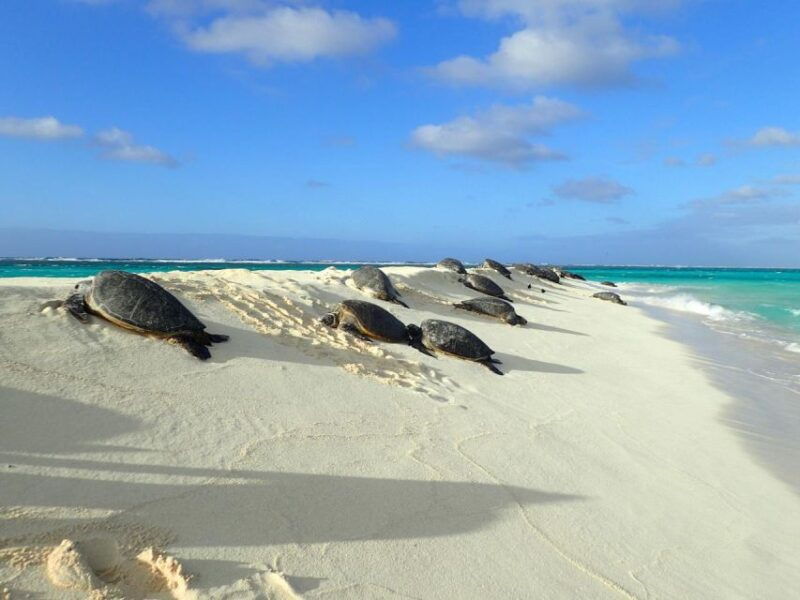Enchanting Small Group Circle Island Tour of Oahu paradise - FAQs