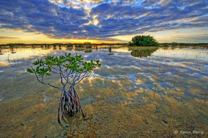 Everglades Mangrove Wilderness Boat Tour - FAQ