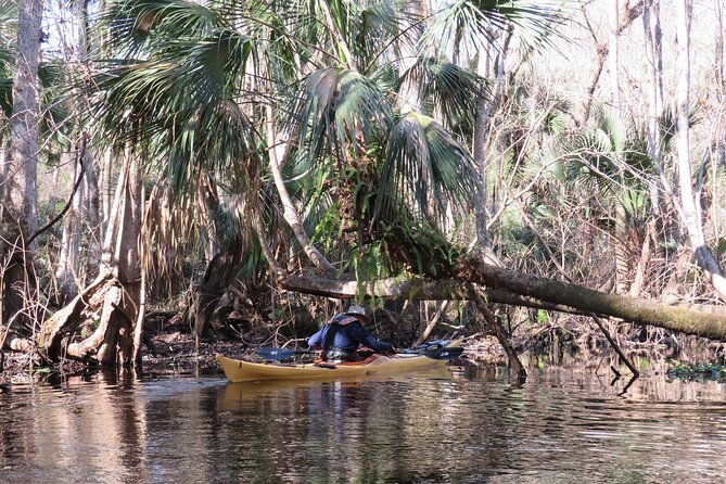 Exclusive Nature Escape Kayak Adventure on Blackwater Creek - Who Will Love This Tour?
