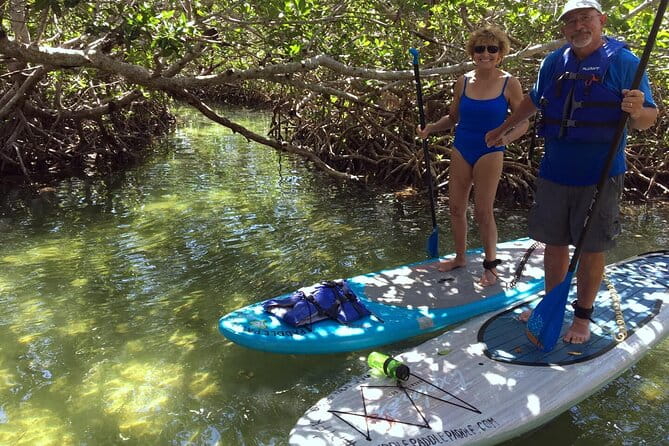 Explore the Mangrove Creeks with an ALL Day Tandem Kayak Rental - The Sum Up: Who Is This Experience For?