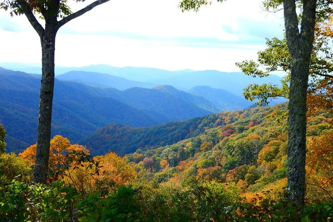 Fall Color Tour in the Smoky Mountains - Analyzing the Value: Is It Worth It?