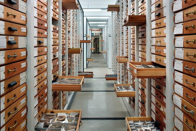 Field Museum of Natural History Early Access Ticket - Final Thoughts