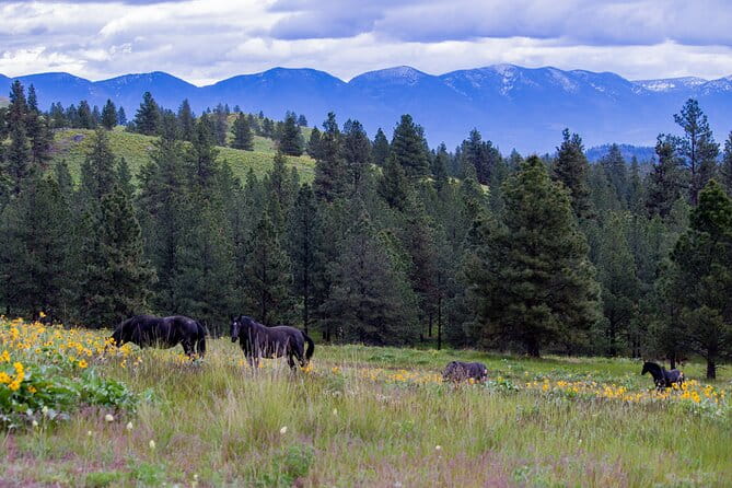 Flathead Lake Private Sunset Wild Horse Island Boat Tour - Final Thoughts