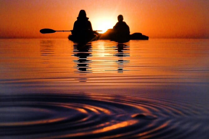 Florida Bioluminescence Clear Kayak tour/ Beacon 42 (Titusville) - Who Will Love This Tour?