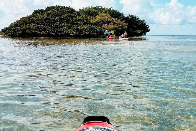 Florida Keys Eco Tour: Snorkel, Kayak, Lunch + Transportation! - Final Words
