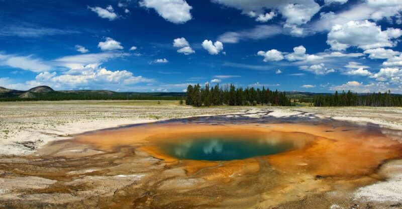 From Jackson: Yellowstone National Park Day Trip with Lunch - Guides and Reviews: What Travelers Say