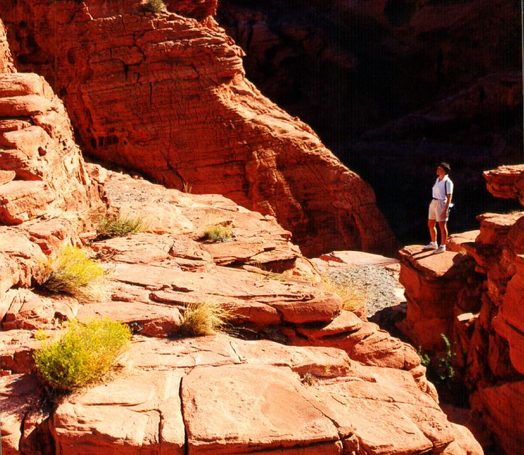 From Las Vegas: Valley of Fire Tour - Final Thoughts
