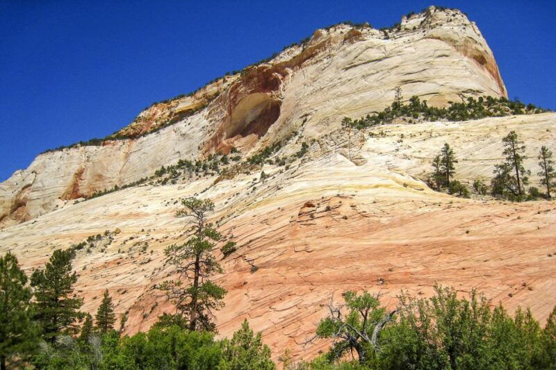 From Las Vegas: VIP Small-Group Zion National Park Adventure - Who Would Love This Tour?