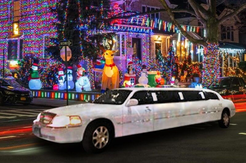 From Manhattan: Private Brooklyn Christmas Tour by Limousine - What’s Included and What’s Not