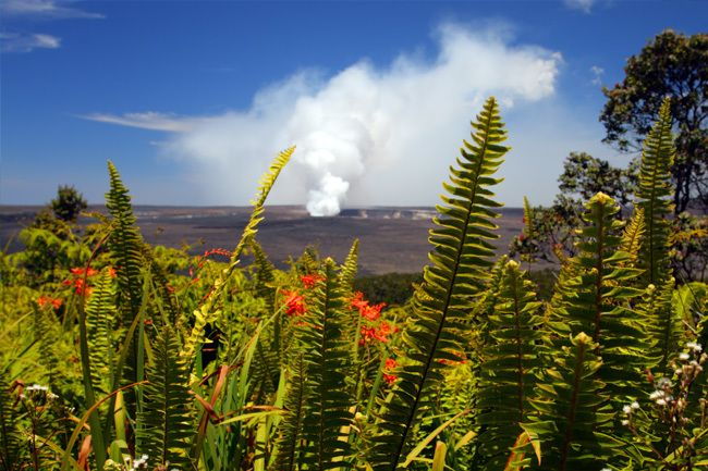 From Oahu: Big Island Volcano Adventure + Helicopter - What Reviewers Say: Authentic Perspectives