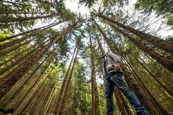 From San Francisco: Alcatraz Island & Guided Muir Woods Tour - The Practical Side: What You Need to Know