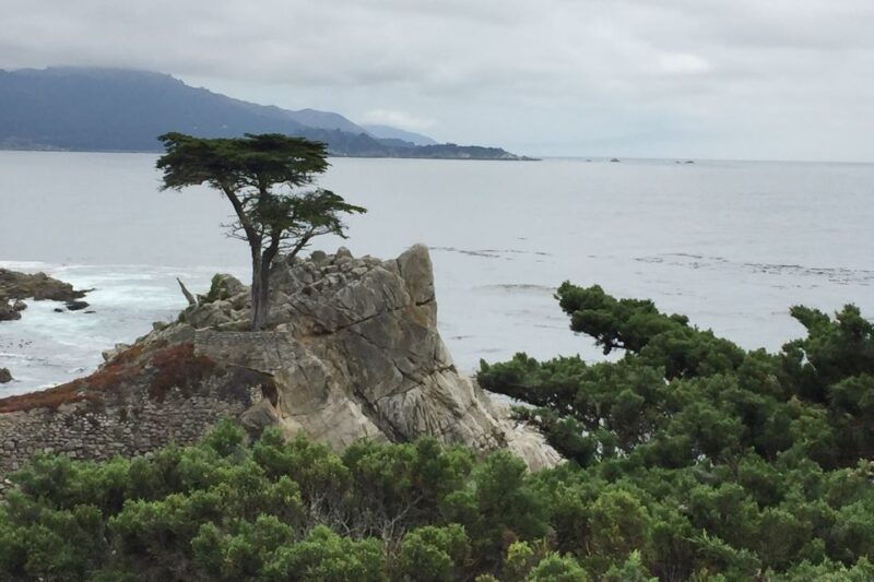 From San Francisco: Carmel, Monterey & Big Sur Private Tour - FAQs