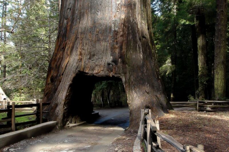 From San Francisco: Yosemite Private Full-Day Trip - The Practicalities: What’s Included and What’s Not