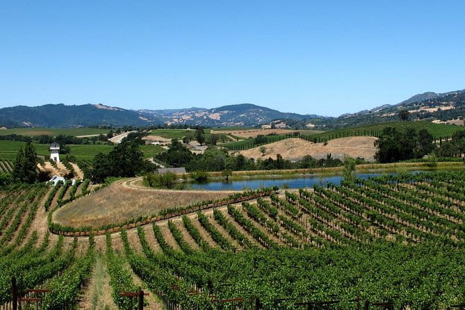 From SF : -8hr- Private Wine Tour & Custom Concierge.XL SUV - Pricing and Value: Does it Add Up?