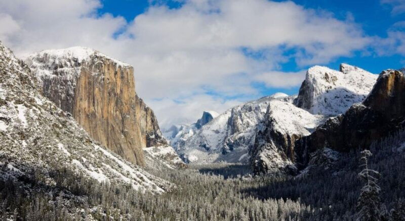 From SFO-Yosemite National Park-Enchanting Full Day Tour - Who Would Love This Tour?
