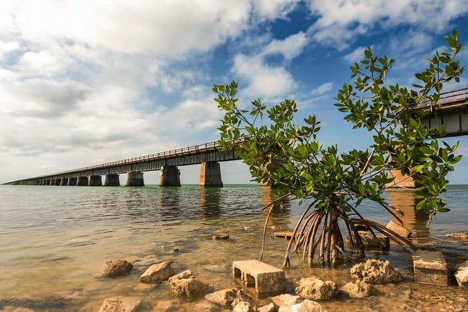 Ft. Lauderdale to Key West Day Trip Quality Day Tours - The Value: Balancing Cost and Experience