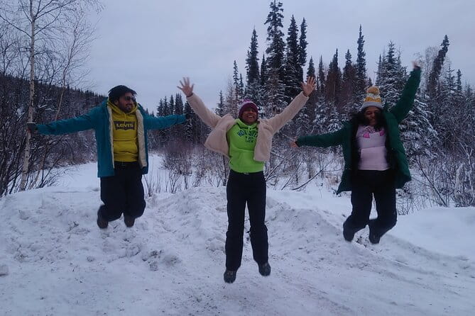 Full Day Arctic Circle Tour - FAQs