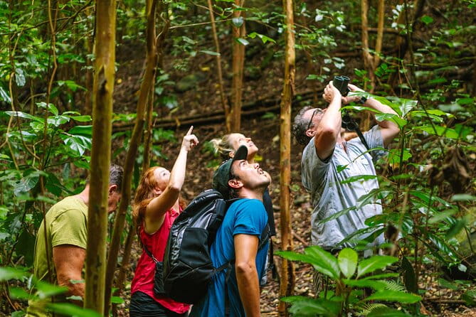 Full-Day Hakalau Forest Reserve Bird Watching Adventure - Who Will Love This Tour?