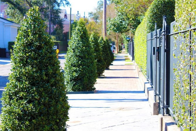 Garden District Walking Tour of New Orleans - Practical Details & Tips