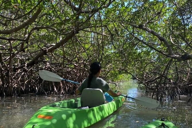 Glass Bottom Kayak Mangrove & Sandbar Adventure in St. Pete Beach - What the Reviews Say