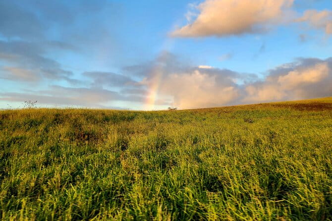 Green Sands Adventure ATV Ride - What Makes This Tour Stand Out?