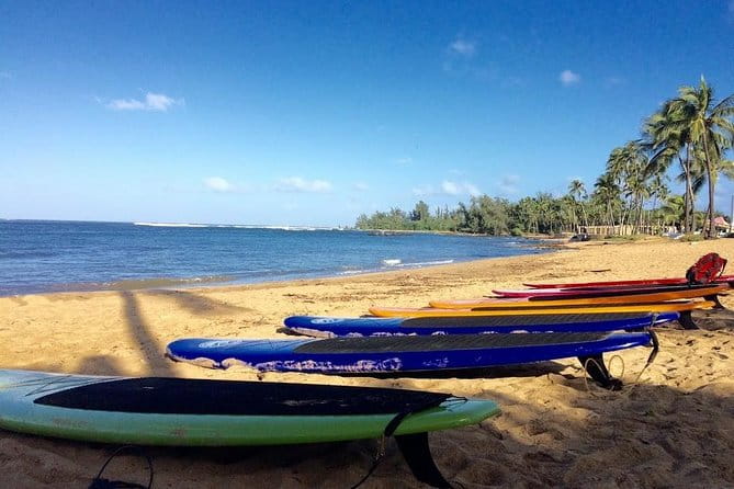 Group Stand Up Paddle Lesson and Tour - Who Will Love This Tour?
