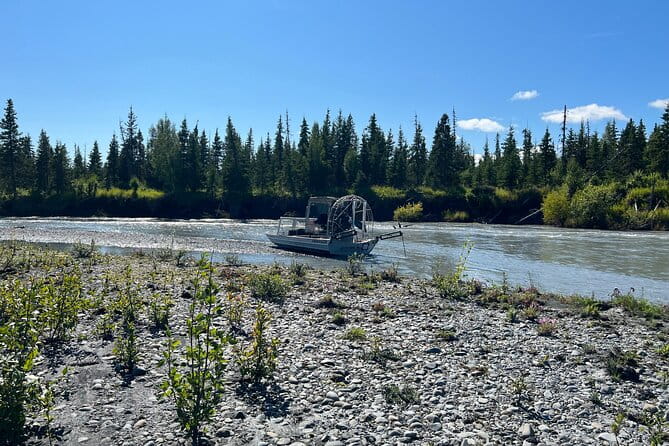 Guided Airboat Tour - Who Will Love This Tour?