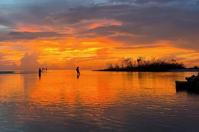 Guided Glow LED Kayak Sunset Activity in Bonita Springs - Analyzing the Cost & Overall Value