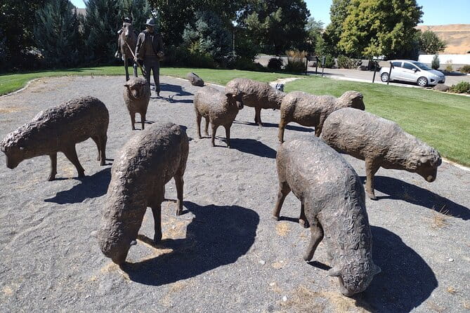 Guided Half-Day Tour Scenic Adventure & Wine Tasting Tour - The Sum Up