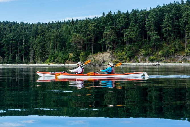 Guided Kayak Tour on San Juan Island - What You’ll Likely See and Experience