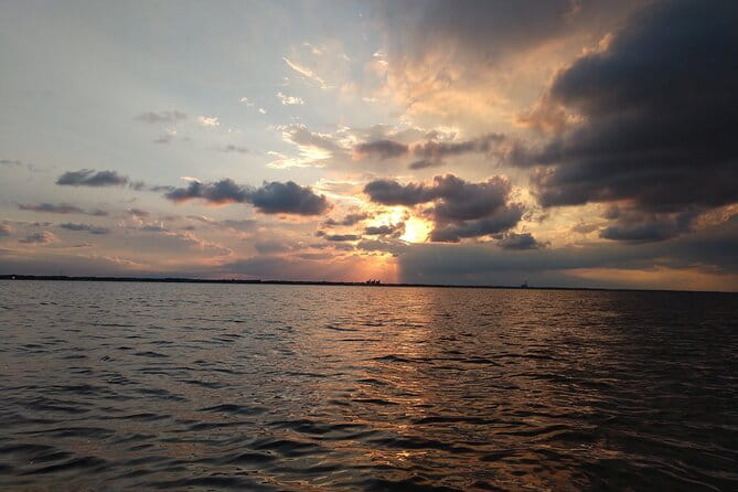Guided Kayak Tour with Manatee & Dolphin Sightings - Who Should Consider This Tour?