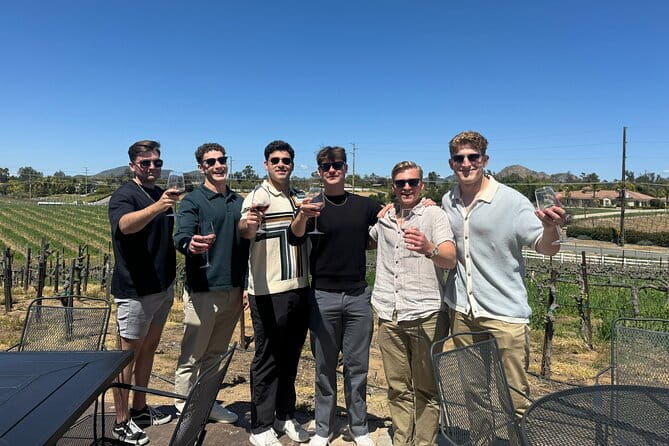 Guided Temecula Winery Tour - Practical Considerations & Tips
