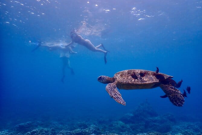 Guided Turtle Town Snorkeling Tour with Underwater Photos - The Sum Up: Is It Worth It?