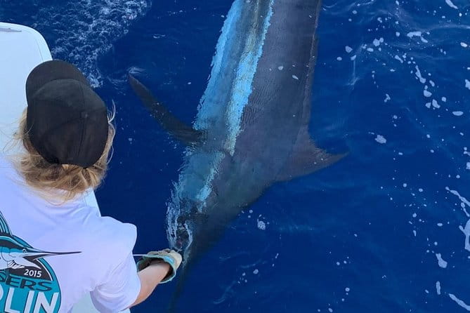 Half Day Afternoon Angler Charter - Authentic Insights from Past Travelers