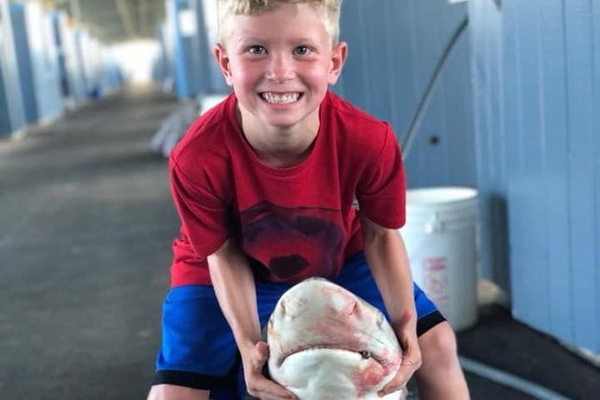 Half-Day Jetty Fishing Trip from Galveston - Authentic Experiences: What Real Guests Say