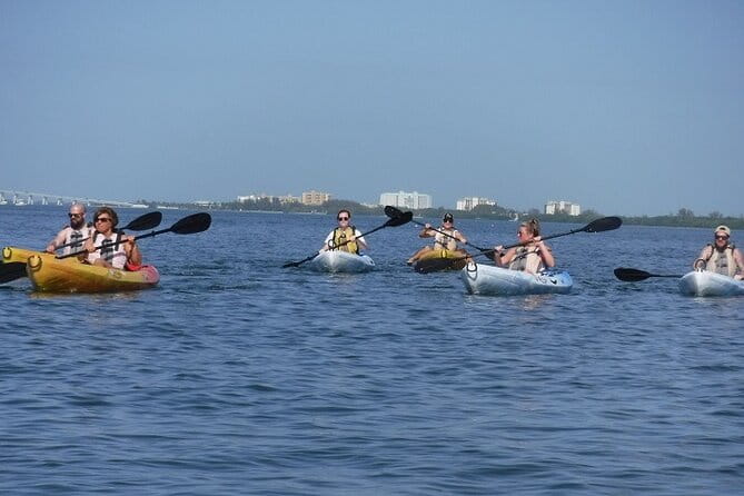 Half Day Kayak or SUP Rental (3hr) - Pelican Bay - Why This Experience Might Not Be for Everyone