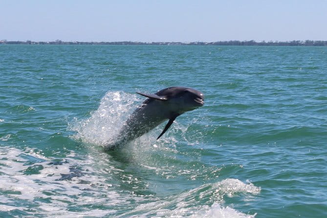 Half Day Private Boat Tour - Practical Tips & Considerations