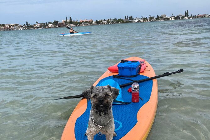 Half Day Rental to John's Pass Sandbar & Mangrove Tunnel - The Value and Pricing
