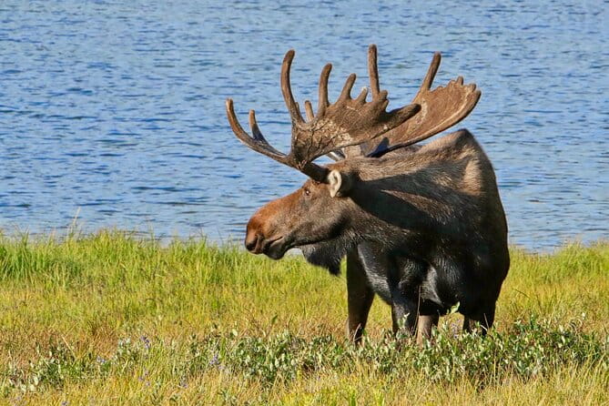 Half-Day Rocky Mountain National Park "Lake and Meadows Tour" - FAQ