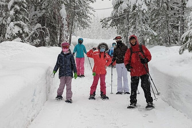 Half Day Snowshoe Hike in Tahoe National Forest - Who Should Book This Tour?
