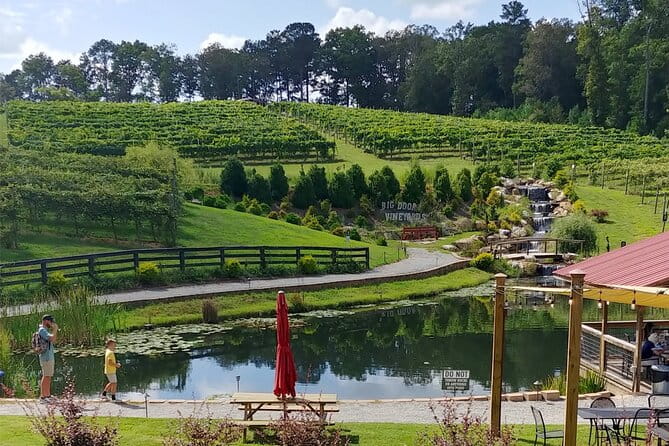 Half-Day Wine Tastings in the North Georgia Mountains - Who Will Love This Tour?