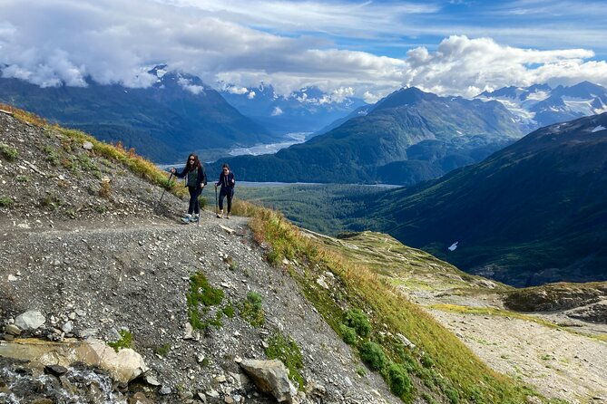 Harding Icefield Trail Hiking Tour - The Guided Experience: Why It Matters