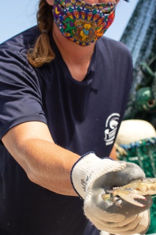 Hilton Head Island: Crabbing Expedition Boat Tour - Practical Details and Value