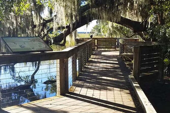 Hilton Head Segway Eco Fun Ride (90 minutes) - The Scenery and Wildlife