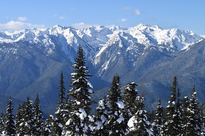 Hurricane Ridge Guided Snowshoe Tour in Olympic National Park - Final Thoughts