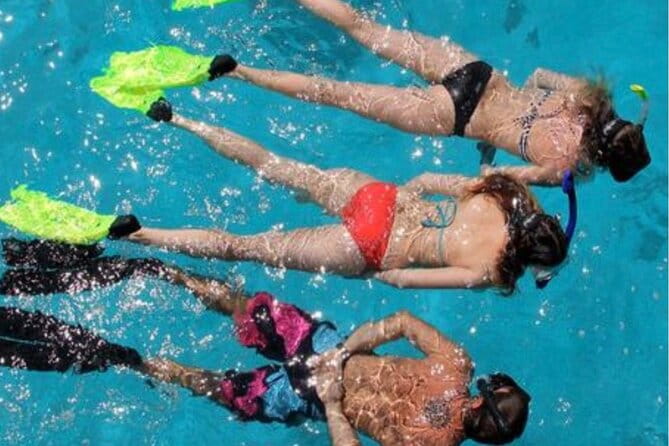 Islamorada: Snorkel adventure & Sandbar Trip - The Practical Details
