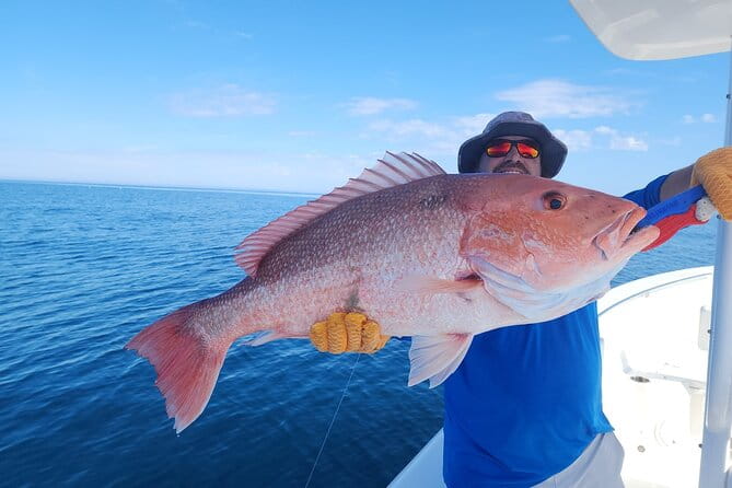 Jacksonville Private Boat Tour Daytime or Sunset, up to 6 people - Who Should Consider This Tour?